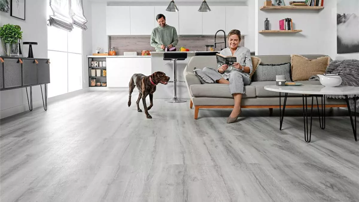 Suelos laminados y mascotas, ¿se puede?