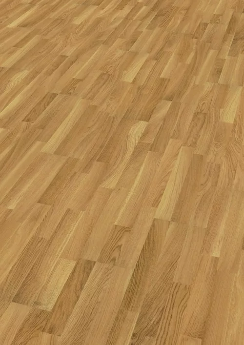 02n-1 Roble Otoño - Imagen 1