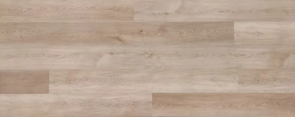 dune Dune - Imagen 1