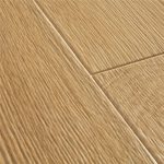 Roble desierto cálido natural