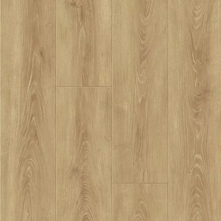 nutmeg Roble Nutmeg - Imagen 1