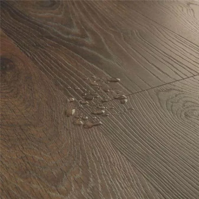 roble-cacahuete1 Roble marrón cacahuete - Imagen 1