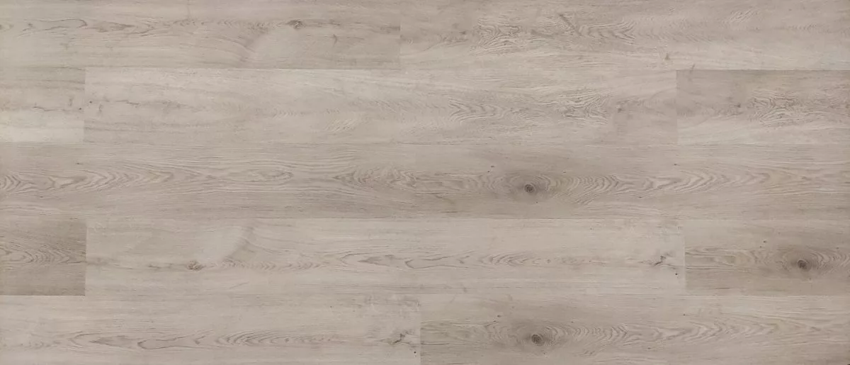 shale Shale - Imagen 1