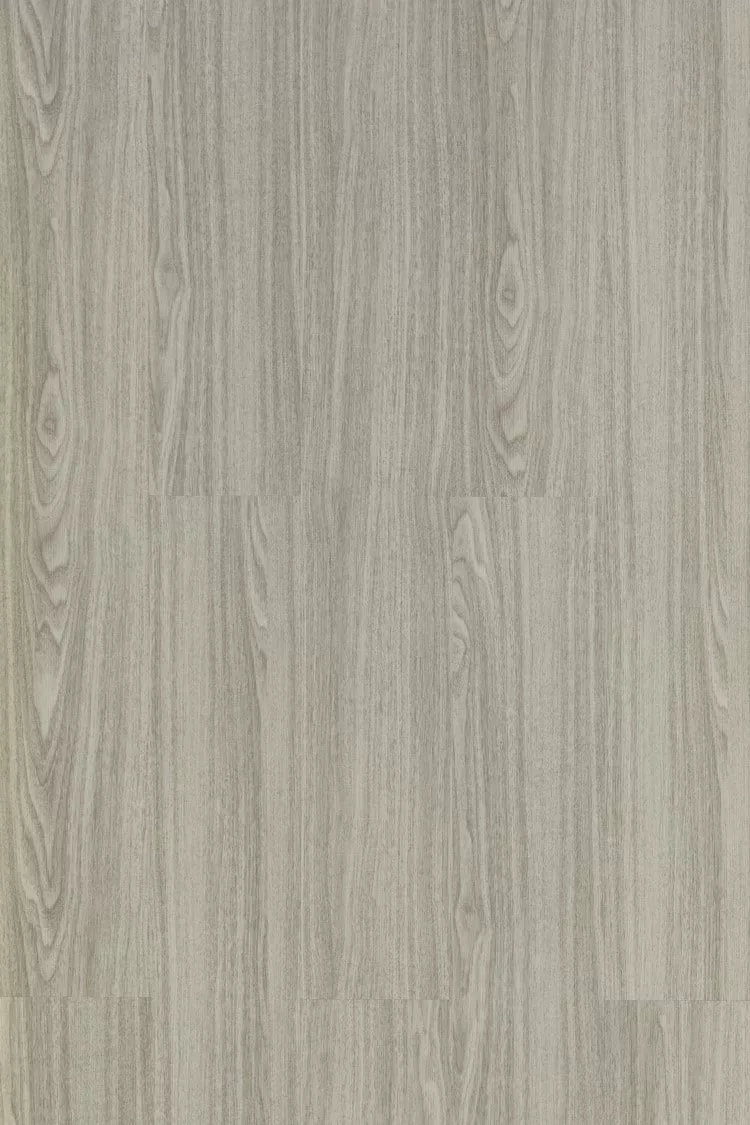 Galaxy Line Orion Silence GREY Grey - Imagen 1