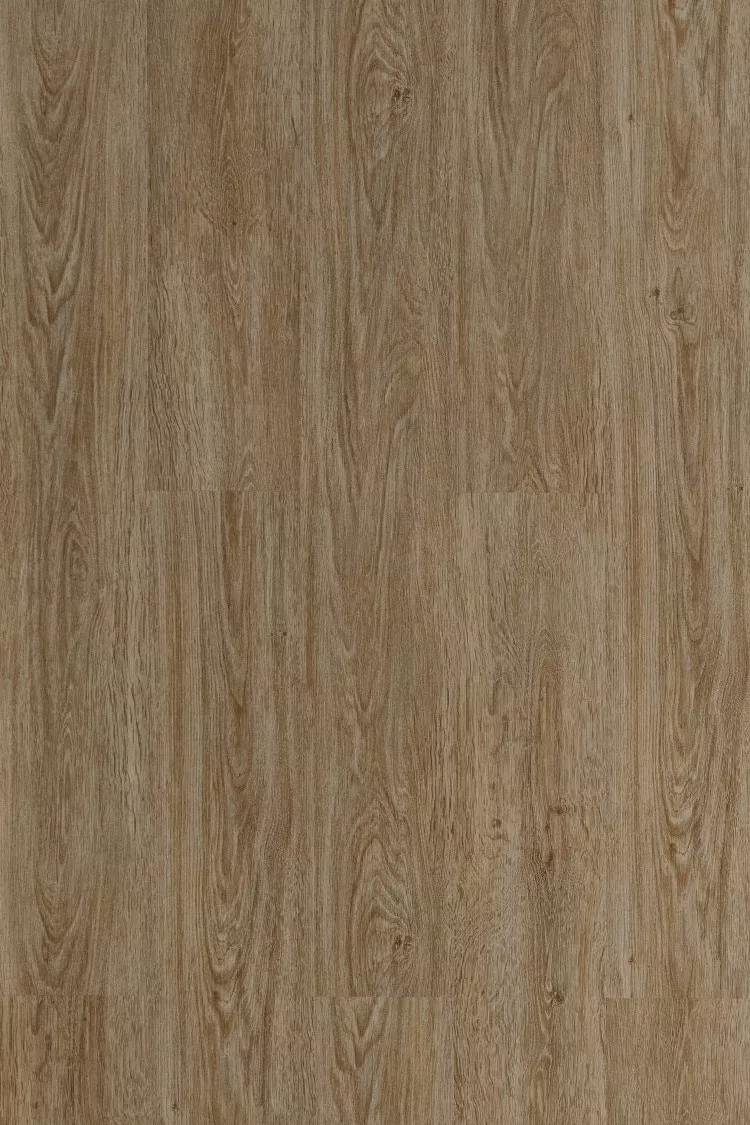 Galaxy Line Orion Silence VINTAGE Vintage - Imagen 1