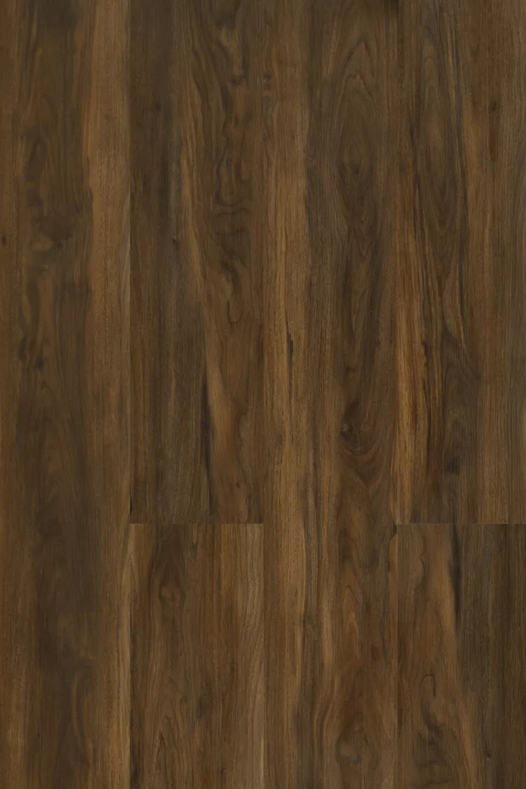 Galaxy Line Orion XL Silence N Nogal N Nogal - Imagen 1