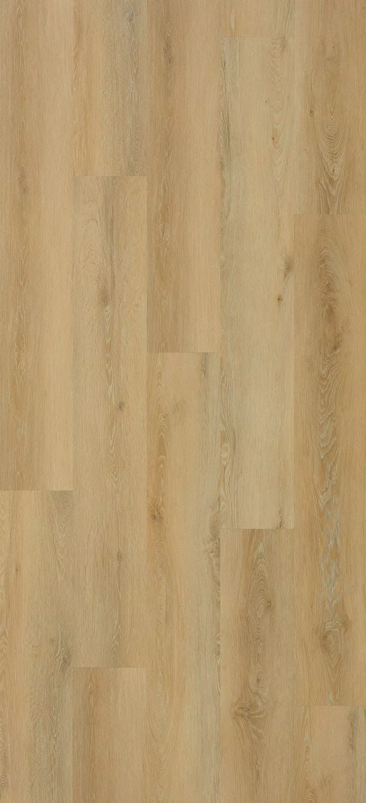 Galaxy-Line-Serie-Orion-Large-BRIGHT- Bright - Imagen 1