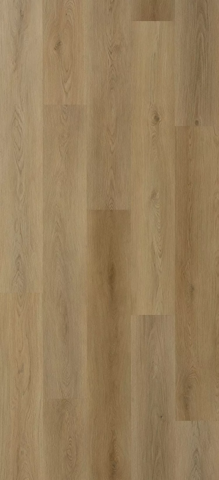 Galaxy-Line-Serie-Orion-Large-SAND- Sand - Imagen 1