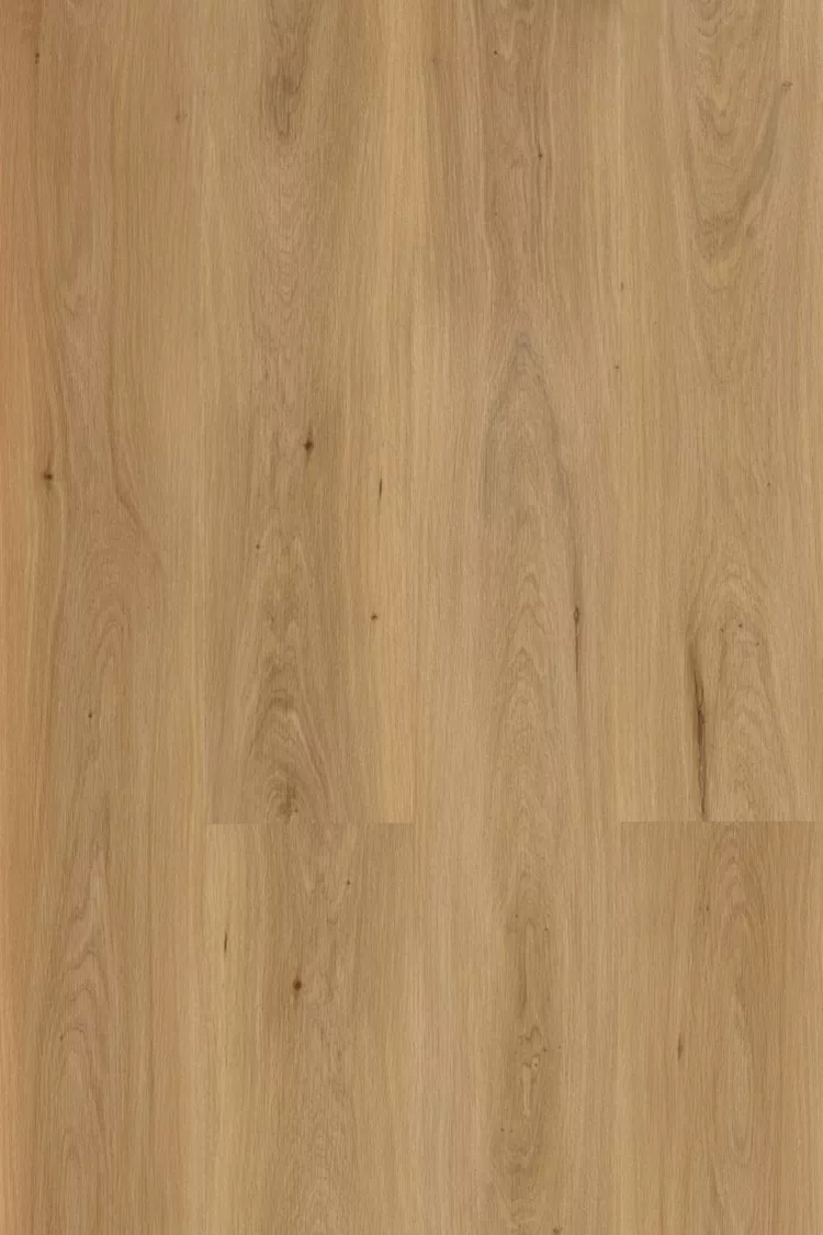 Galaxy Line XL Silence NUDE Nude - Imagen 1