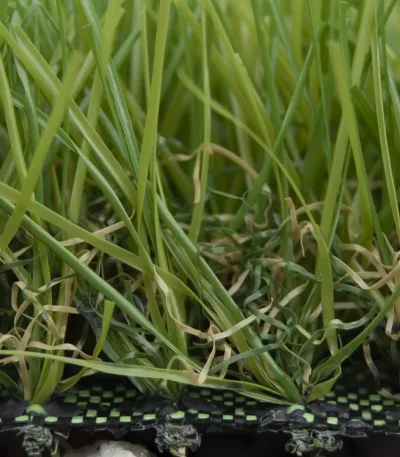 Césped Artificial Fidji