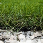 Césped Artificial New Barbados