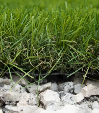 Césped Artificial New Barbados