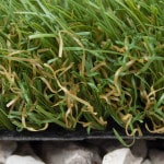 Césped Artificial Seychelles