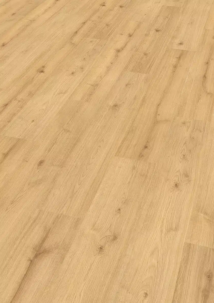 571b-roble-eneas-p8-4v-persp Finfloor