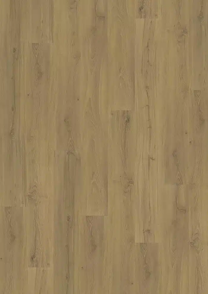 LTCLW2204-218 vinilo