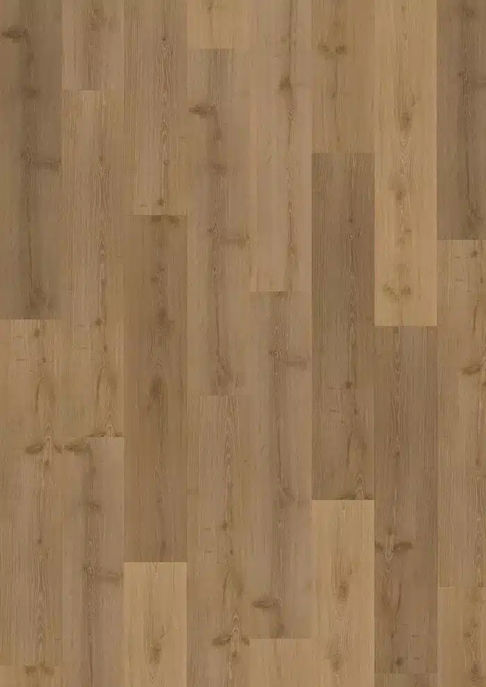 LTCLW2305-218 vinilo