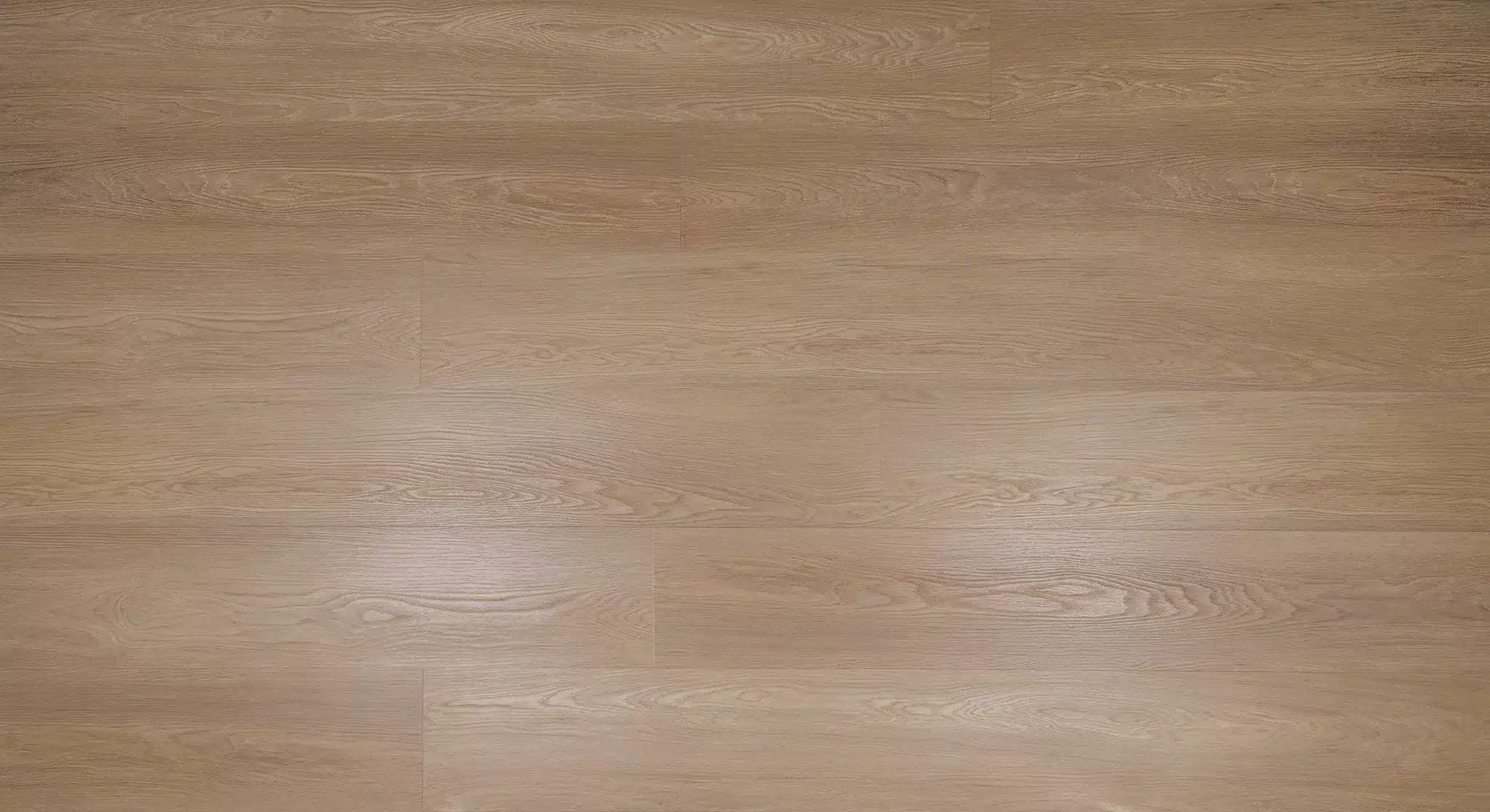 TRAVIATA-3 Traviata - Imagen 1