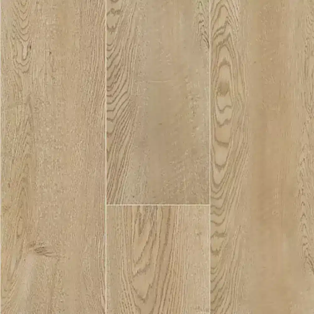 madison Madison - Imagen 1