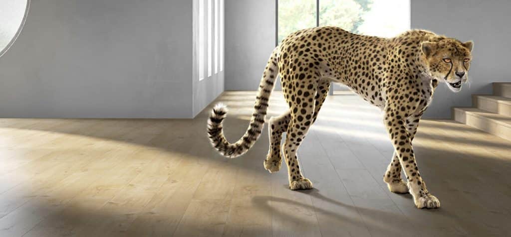 Quick Step suelos de vinilo rígido